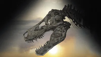 Dinosaur 13 izle
